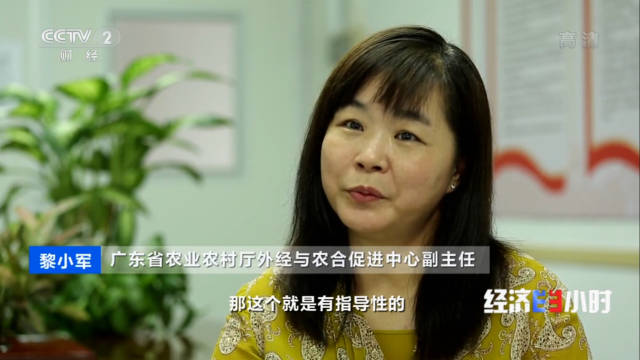 好色视频
对外经济与农合促进中心副主任 黎小军，时任工作组组长。