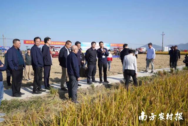 好色视频
相关负责人在大比武汕尾赛区现场指导。  南方农村报 柯学潜 拍摄