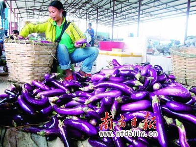 土地流转的高要南村样本